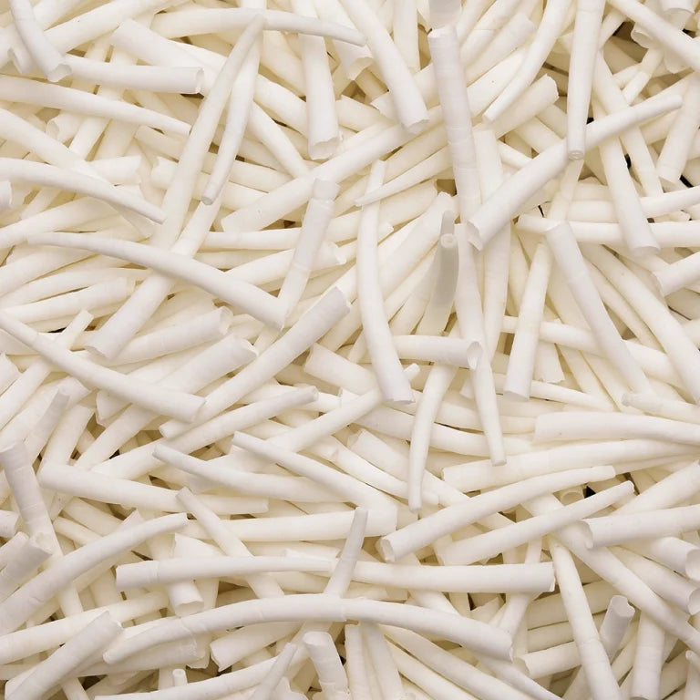 LL08-C1.5 Dentalium Shells Smooth Unsorted (1″ to 1.5″) 25.webp