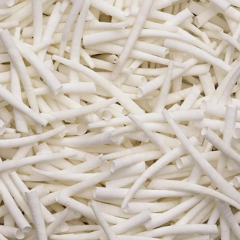 LL08-C2.0 Dentalium Shells Smooth (1.5″ to 2″) Unsorted 30.webp