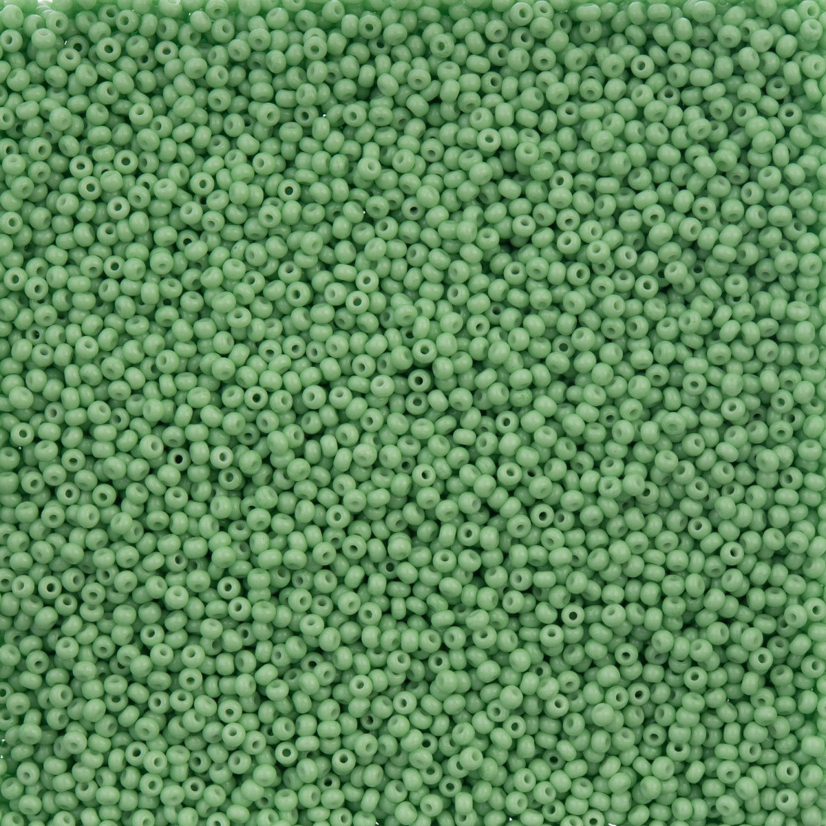 66443250B Czech Seed Bead 11 Dark Green Chalk Dyed Solgel 250g