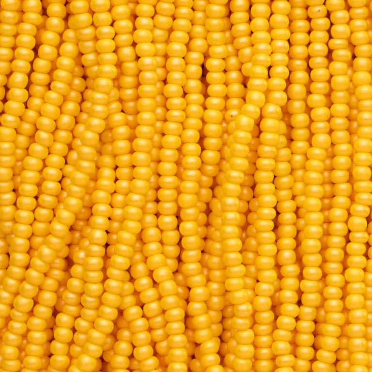 79-PL-1102S Czech Seed Beads, sz 11 PermaLux Dyed Chalk Dark Yellow (strung)