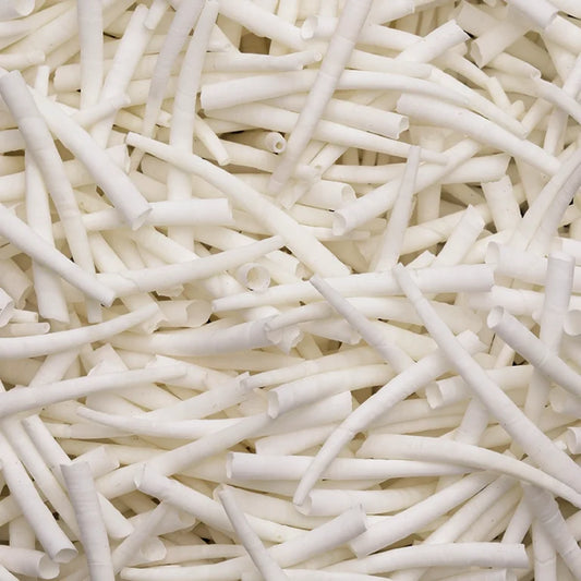 LL08-C2.0 Dentalium Shells Smooth (1.5″ to 2″) Unsorted 30.webp